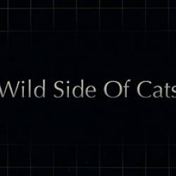    / Wild Side of Cats (2012) HDRip