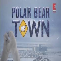    (01-12   12) / Polar bear town (2015) SATRip