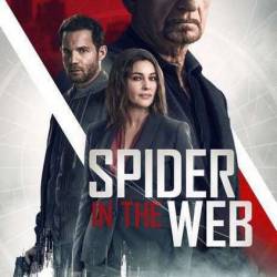    /    / Spider in the Web (2019) WEB-DLRip / WEB-DL 720p / WEB-DL 1080p /  