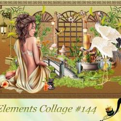 Elements Collage 144 (PNG, JPG)