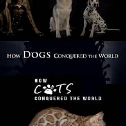       / How Dogs And Cats Conquered The World (2020) HDTVRip 720p