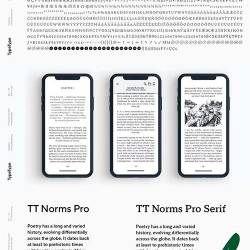 TT Norms Pro Serif font family