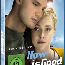    / Now Is Good (2012) BDRip-AVC | 