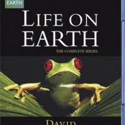    / Life on Earth (1979) BDRip 720p  1 :  