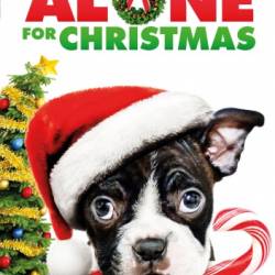   / Alone For Christmas (2013) TVRip