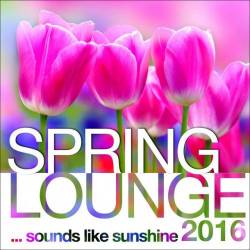 VA  Spring Lounge 2016: Sounds Like Sunshine (2016)