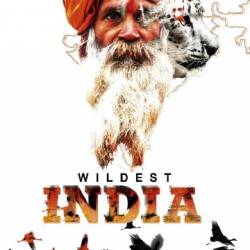   .    / The Great Indian Plains (2015) HDTVRip (720p)