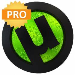 Torrent Pro 3.6.0 Build 46672 Stable RePack + Portable