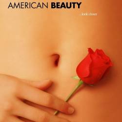  - /  - / American Beauty (1999) WEB-DLRip-AVC