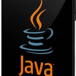 Java   2020.    Junior Developer () -   ,       !