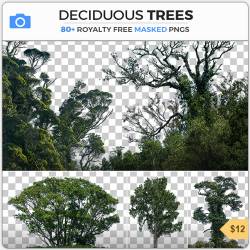 PHOTOBASH - DECIDUOUS TREES (PNG)