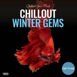 Chillout Winter Gems 2023 Chillout Your Mind (2023) FLAC - Balearic, Downtempo