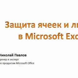      Microsoft Excel (2013)