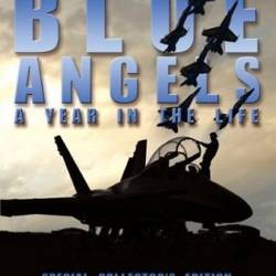 Discovery.  :    / Blue Angels: A Year in the Life (2005) HDTVRip [H.264/720p] [1-4   4]