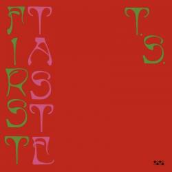 Ty Segall  First Taste (2019) MP3