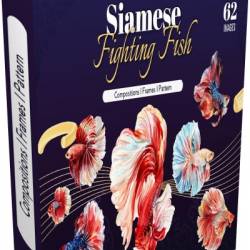 Creative Market - Siamese Fighting Fish Watercolor (PNG, PSD, JPG)