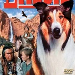     / Lassie The Painted Hills (1951) DVDRip