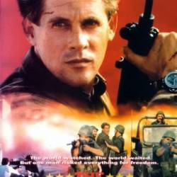   /  / The Human Shield (1991) DVDRip |   /  