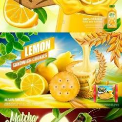 Advertising orange juice and tasty ice cream realistic design (EPS)