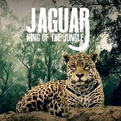     / Jaguar - King of the Jungle (2020) HDTVRip 720p