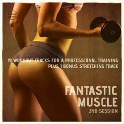 Fantastic Muscle Vol 2 (20 Workout Tracks For A Professional Training) (2016) MP3