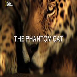   / The Phantom Cat (2012) HDTV 1080i