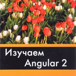  .  Angular 2 (2017) PDF