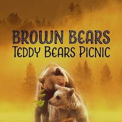  :     / Brown Bears - Teddy Bears Picnic (2020) HDTVRip 720p