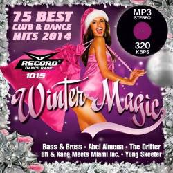 VA - Winter Magic (2014)