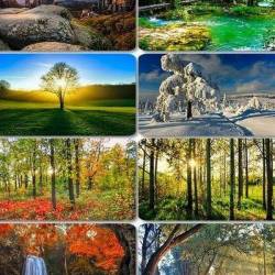 Beautiful Nature Wallpapers 71