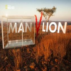    /    / Man v. Lion / Dinner With Lions / Man vs. Lion (2014) HDTV 1080i