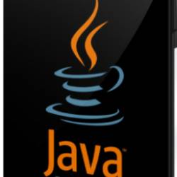 Java   2020:    Junior Developer (2020) 