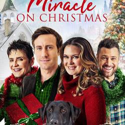 Miracle on Christmas /   (2020) WEB-DLRip