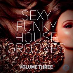 Sexy Funky House Grooves Volume Three (2023) Mp3 - Nu-Disco, Electronic, House, Funky-House!
