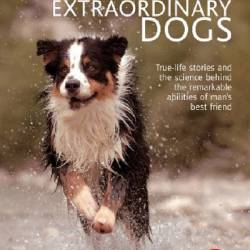   / Extraordinary Dogs / 1997 /  / SATRip