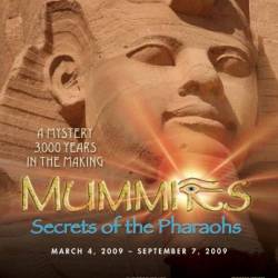 IMAX - :   / IMAX - Mummies: Secrets of the Pharaohs (2007) BDRip (720p)