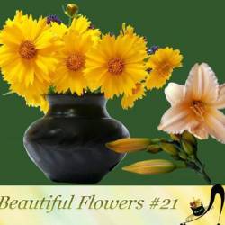Beautiful Flowers #21 (PNG)