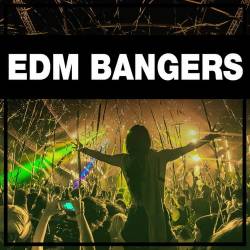 Bangers EDM (2022) - House, Electro House, Progressive House, Electronic, Electro Dance