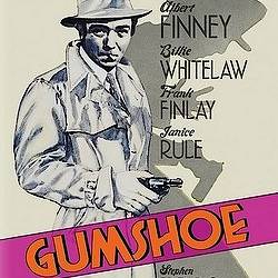  / Gumshoe (1971) DVDRip