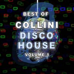 Collini Disco House Vol. 1 (2023) - Disco, Funk, Soul