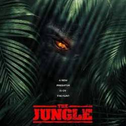  / The Jungle (2013) DVDRip