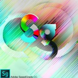 Adobe SpeedGrade CC by m0nkrus (2014/RUS/ENG)
