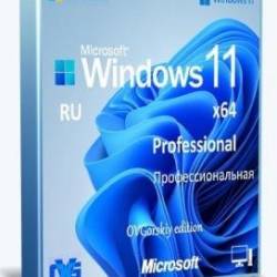 Windows 11 Professional VL x64 22H2 RU by OVGorskiy 03.2023