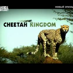 Animal Planet:   (12   12) / Animal Planet: Cheetah Kingdom (2010) HDTVRip