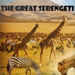 National Geographic:     / The Great Serengeti HDTVRip